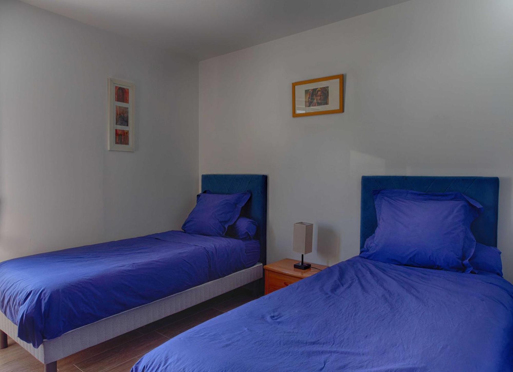 Le Logis D'Emeric Avec Paisible Jardin Clos&Arbore Loches Exterior foto
