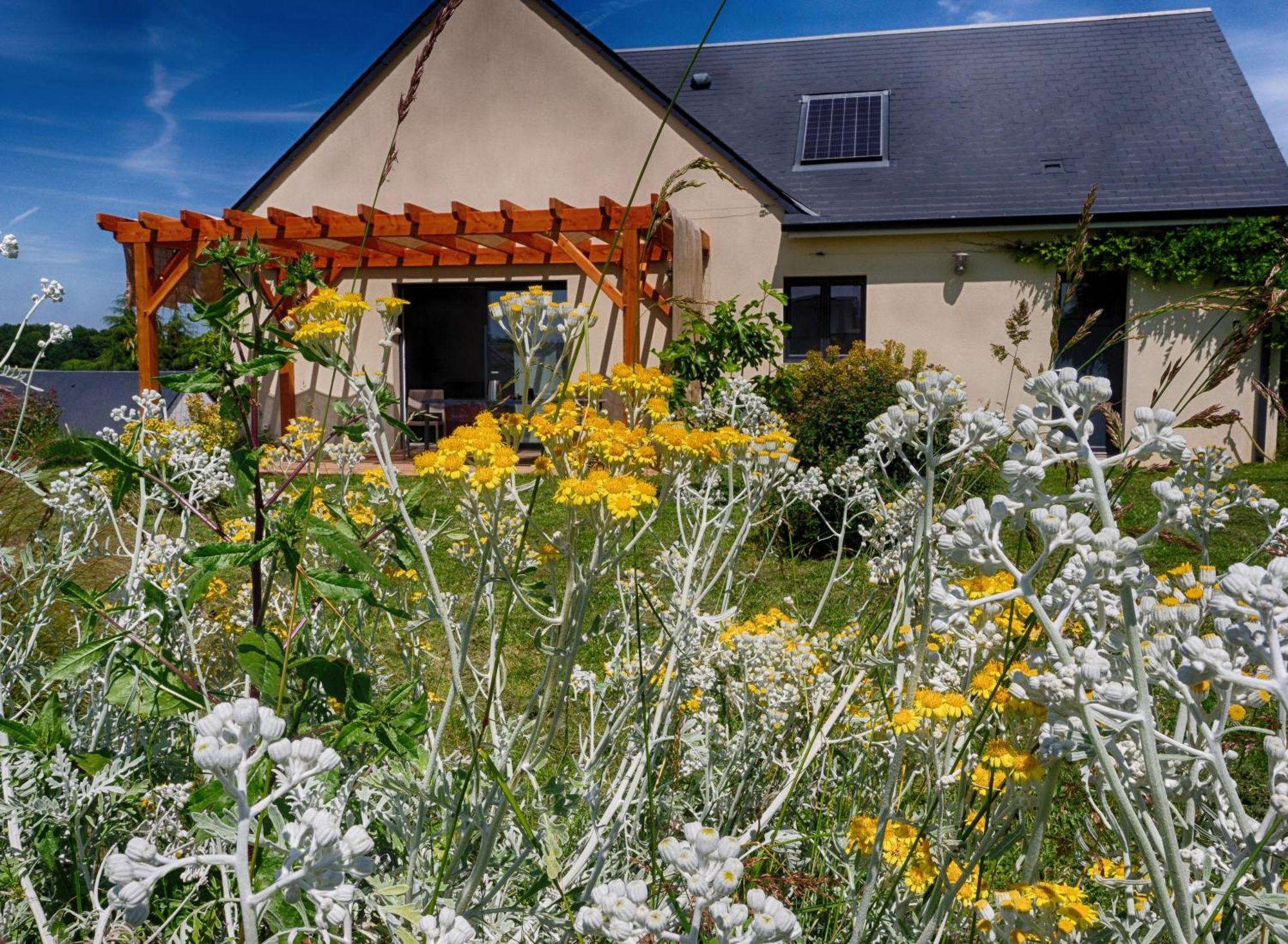 Le Logis D'Emeric Avec Paisible Jardin Clos&Arbore Loches Exterior foto